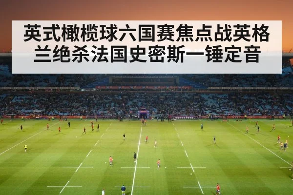 英式橄榄球六国赛焦点战英格兰绝杀法国史密斯一锤定音